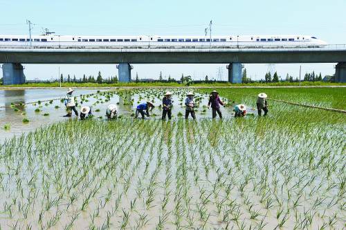 全國10大高溫城市浙江省獨占7席 江南熱 最熱是浙江