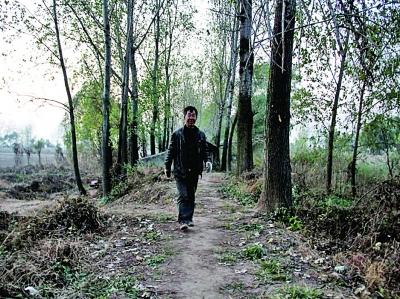 退伍老兵義務守島護林13年 無電燈無自來水(圖)