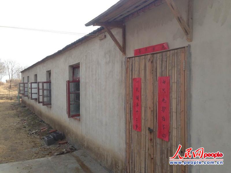 人民網(wǎng)記者新春走基層 大學(xué)生“羊倌”的創(chuàng)業(yè)夢想
