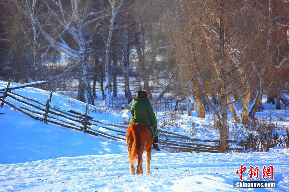 新疆北部山區村莊雪景醉人