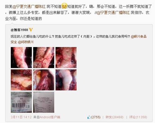 網友微博曬鯉魚體內顆粒狀“異物”遭吐槽：連魚子都不認識