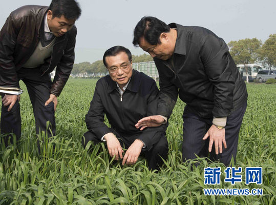 從李克強總理考察家庭農場看現代農業發展新趨向