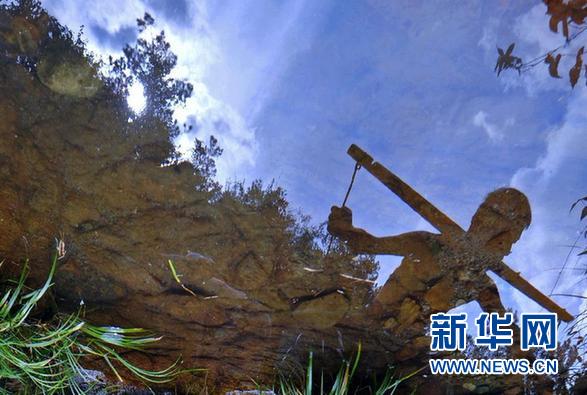 國務(wù)院部署工作力保糧食豐收 夯實(shí)經(jīng)濟(jì)基礎(chǔ)