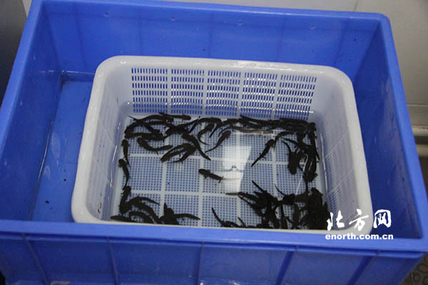 南水北調(diào)問水行：移民搬遷 樂享城鎮(zhèn)化碩果