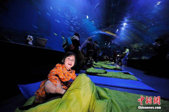 天津游客夜宿海洋館 體驗與魚共眠（全文）