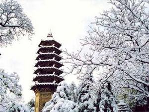 京城雪紛飛 細(xì)數(shù)十處最具京味賞雪地