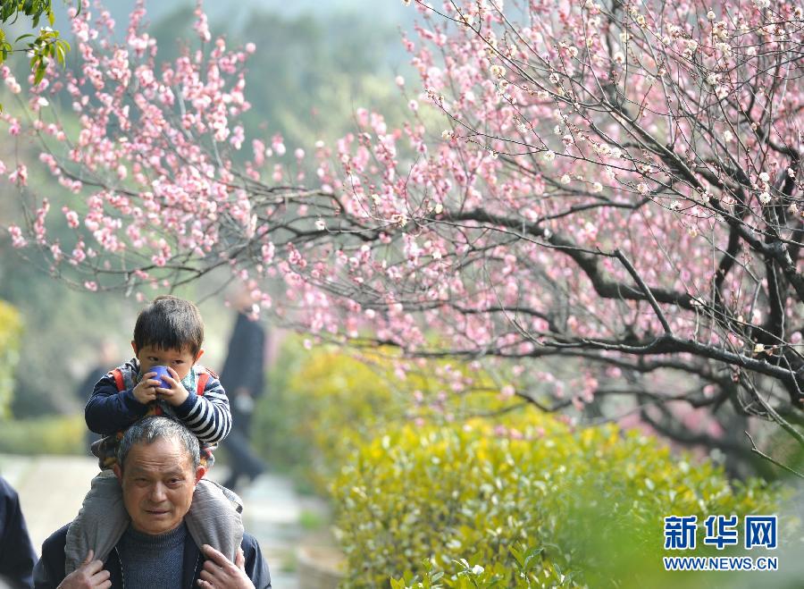 “花開意盎然，雀鳥上枝頭”：聽！春天的腳步聲