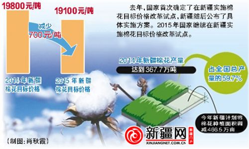 2015年新疆棉花目標(biāo)價(jià)格確定 每噸19100元