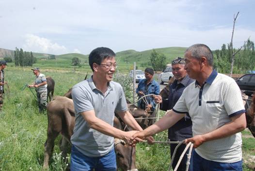 格干牧業村貧困戶喜牽“扶貧牛”