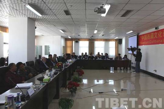 共論藏文化保護：海內(nèi)外專家學者思想碰撞在拉薩