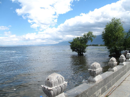 全國(guó)網(wǎng)媒記者采訪洱海湖濱新村——白族聚居村落古生村