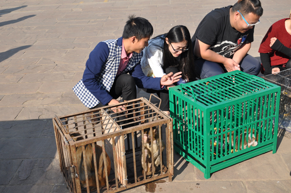 云南野生動物園啟動最大規模放生活動 前往普洱放生