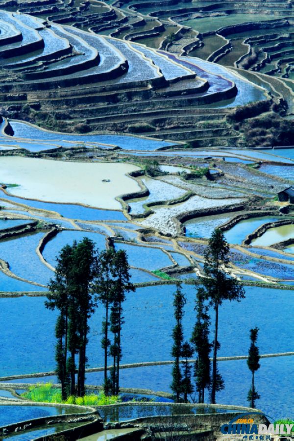 云南元陽(yáng)自駕攝影之旅：哈尼梯田三月春夢(mèng)幻
