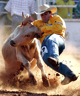 cowboy competes during the Barretos Rodeo International Festival in Barretos, 438 km (272 miles) northwest of Sao Paulo, Brazil, in this file picture from August 28, 2005. Raucous bullriding rodeos were banned on October 26, 2005, in Brazil's most populate state, Sao Paulo, on fears they could further spread foot-and-mouth disease in the world's biggest cattle-raising country.