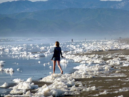 海嘯讓加州海岸成泡泡浴場 新鮮景象難得一見