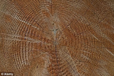 瑞士科學家提出新觀點 羅馬帝國衰落或氣候變化所致
