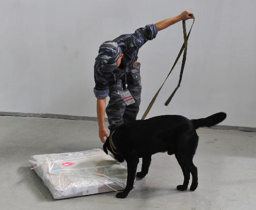 俄羅斯為APEC峰會構建嚴密安保網