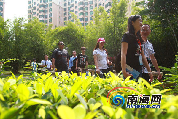 十年磨一劍 “五個(gè)龍華”鑄造?？诂F(xiàn)代化新城區(qū)