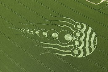 英國驚現巨型水母圖案麥田怪圈 好似神秘生物入侵地球