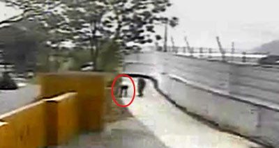 圖:盧武鉉生前最后錄像曝光 路過花壇拔除雜草
