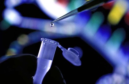 情投意合抑或莫名反感 美科學家發(fā)現(xiàn)基因影響交友選擇