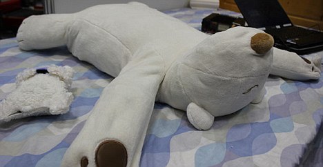 日本發(fā)明對付打鼾機器熊枕 聲音過響可干預睡姿