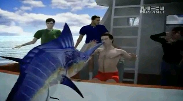美國小伙釣魚遇險:200多公斤黑槍魚躍出海面刺穿其口腔