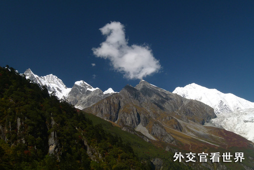 神馬真是浮云