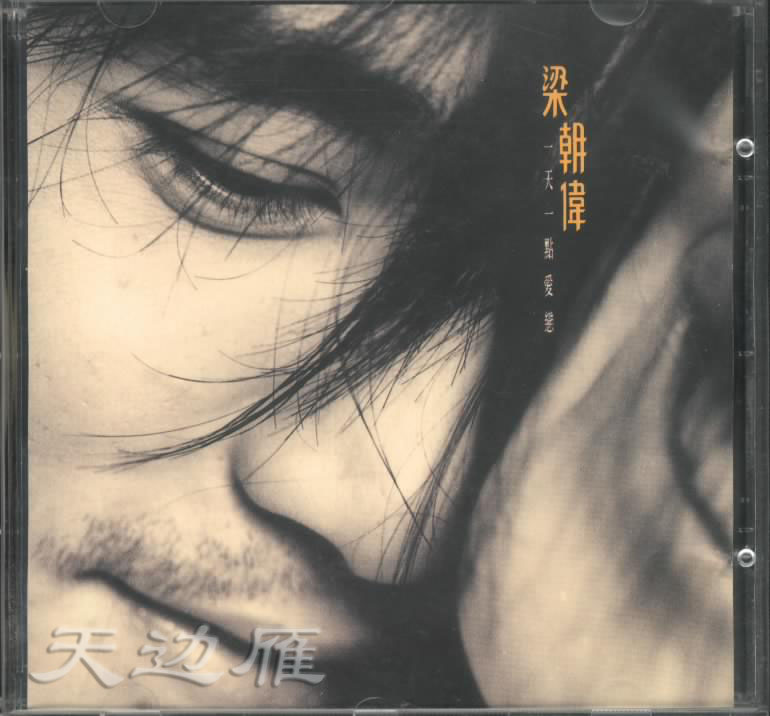 梁朝偉9