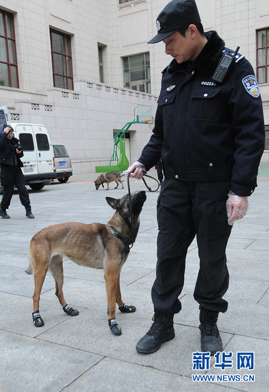 警犬“助陣”兩會安保工作：大會堂內細致檢查