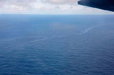法航飛機或在空中解體 黑匣子恐難找到(圖)
