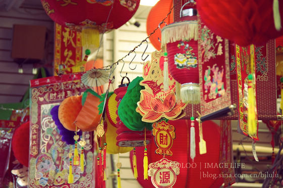 逛逛美國唐人街的花市