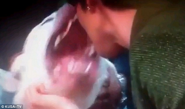 美國女主持直播中“采訪”烈犬嘉賓 被咬傷嘴唇送醫院