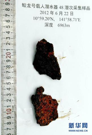 “蛟龍”探深海 7000米海試發現11種新物種