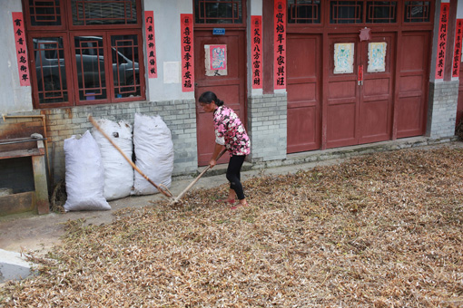 生態貴陽打造“綠色長城”
