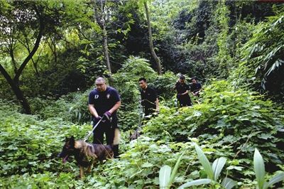 重慶警方否認(rèn)發(fā)周克華尸檢照 歌樂(lè)山解除封山令
