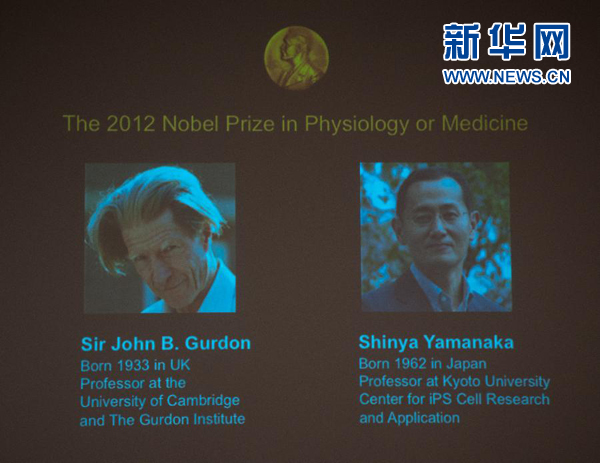 諾貝爾生理學或醫學獎由英日科學家分享 物理學獎今日揭曉