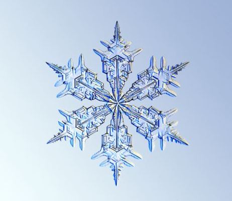 怎一個美字了得！美國科學家?guī)闶フQ看雪花(圖)
