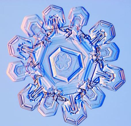 怎一個美字了得！美國科學家?guī)闶フQ看雪花(圖)
