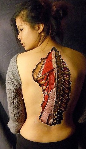 膽小勿看！ 藝術家帶你“撕裂”人體看個究竟