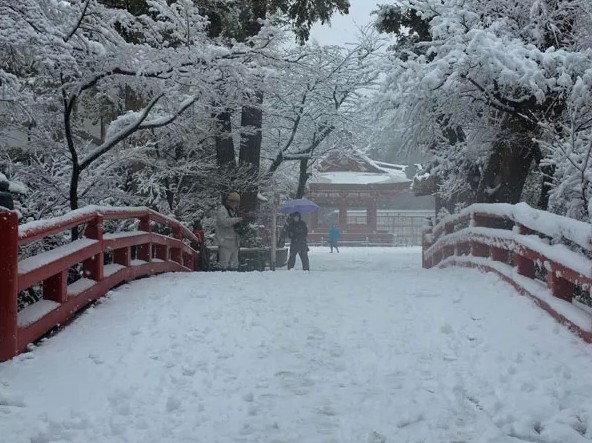 日本遭嚴重暴風(fēng)雪襲擊 19人死亡1600多人受傷