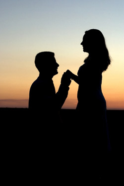 The Proposal《假結婚》精講之二