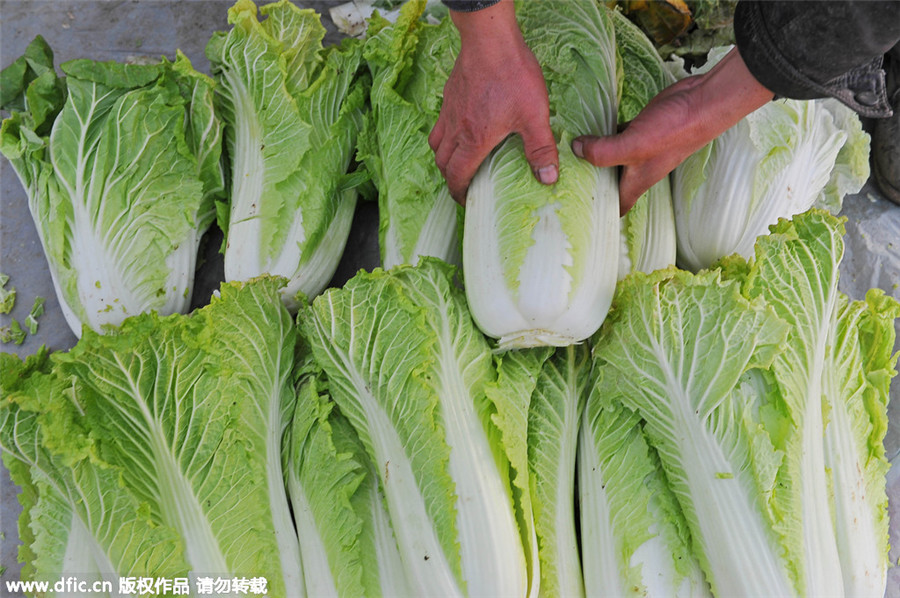 凍并快樂著：北京冬天十大傳統(tǒng)美食（組圖）