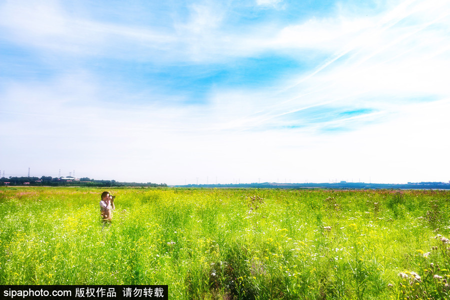 藍天白云刷屏！盤點風清日朗的絕美風光 為眼睛降溫
