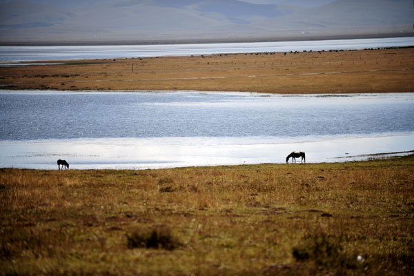 Gahai Lake (Gannan Tibetan autonomous prefecture, Gansu province)