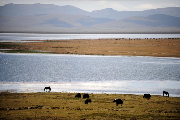 Gahai Lake (Gannan Tibetan autonomous prefecture, Gansu province)