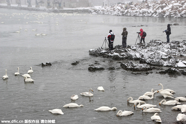 Shandong among top 11 provincial-level regions with ambitious growth targets