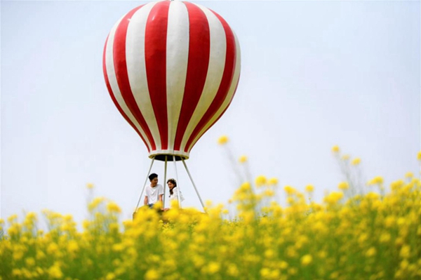 Blooming spring tulips brighten up Tai'an