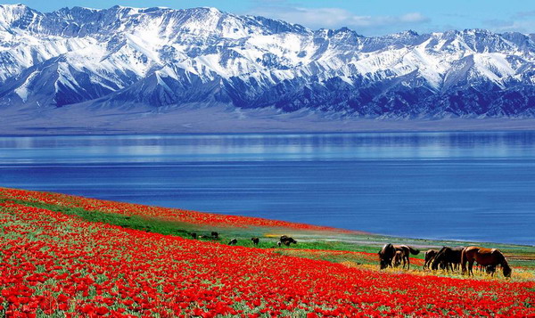 Trip to Xinjiang