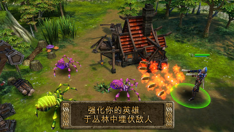 混沌與秩序之英雄戰歌